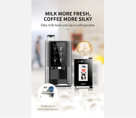 comprare Caffè fresco ogni volta con il distributore automatico di caffè da fagiolo a tazza fabbricazione online